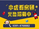 11月焦作房產(chǎn)網(wǎng)小虎免費(fèi)看房團(tuán)開(kāi)始報(bào)名了